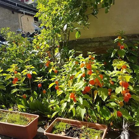 酒店 凯斯卡德酒店